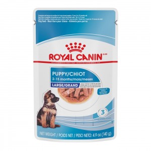 10 x 4.9oz Royal Canin Large Puppy Chunks in Gravy Pouch Wet Dog Food UAE | 1725-ZTCOQ