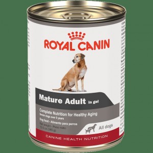 12 x 13.5oz Royal Canin Mature Adult in Gel Canned Wet Dog Food UAE | 5634-NFGPM