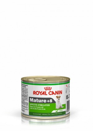 1 x 150g Royal Canin Mature 8+ Loaf in Sauce Canned Wet Dog Food UAE | 9612-GALQE