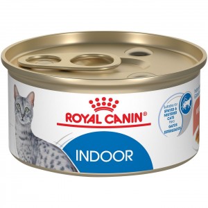 24 x 3oz Royal Canin Indoor Adult Morsels in Gravy Canned Wet Cat Food UAE | 0537-UTPAO