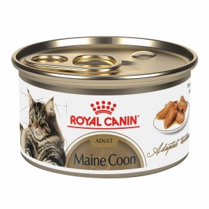 24 x 3oz Royal Canin Maine Coon Adult Thin Slices in Gravy Canned Wet Cat Food UAE | 4720-KNTLY