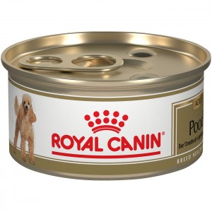 24 x 3oz Royal Canin Poodle Adult Loaf in Sauce Canned Wet Dog Food UAE | 3015-KGRYB
