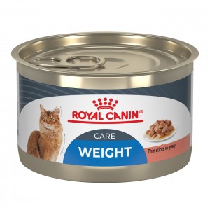 24 x 5.1oz Royal Canin Feline Weight Care Thin Slices In Gravy Wet Cat Food UAE | 8602-LVOFE