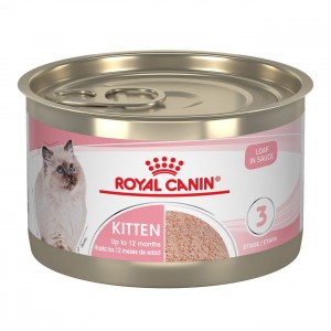 24 x 5.1oz Royal Canin Kitten Loaf in Sauce Canned Wet Cat Food UAE | 2097-ERTMC