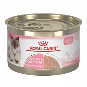 24 x 5.1oz Royal Canin Mother & Babycat Ultra Soft Mousse in Sauce Canned Wet Cat Food UAE | 1293-WNTRU
