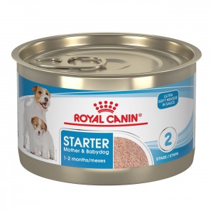 24 x 5.1oz Royal Canin Starter Mother & Babydog Ultra Soft Mousse In Sauce Wet Dog Food UAE | 8436-DRFYI