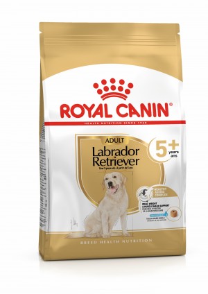 28lb Royal Canin Labrador Retriever Adult 5+ Dry Dog Food UAE | 3154-SOTCU