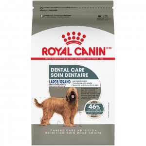 30lb Royal Canin Large Dental Care Dry Dog Food UAE | 2971-BIXEV