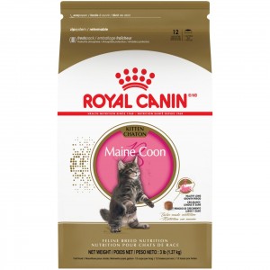 3lb Royal Canin Maine Coon Kitten Dry Cat Food UAE | 5723-KLRCQ