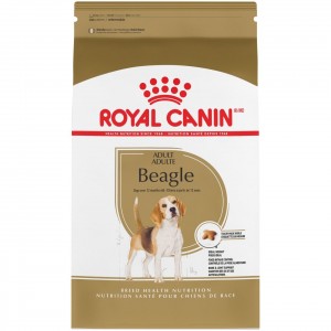 6lb Royal Canin Beagle Adult Dry Dog Food UAE | 5230-ILGWX