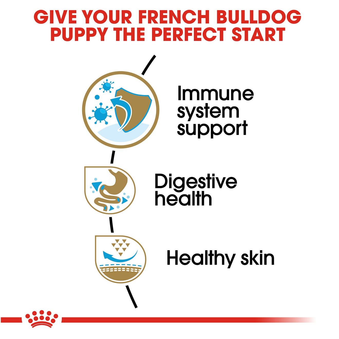 10.5lb Royal Canin French Bulldog Puppy Dry Dog Food UAE | 7943-LQSJZ