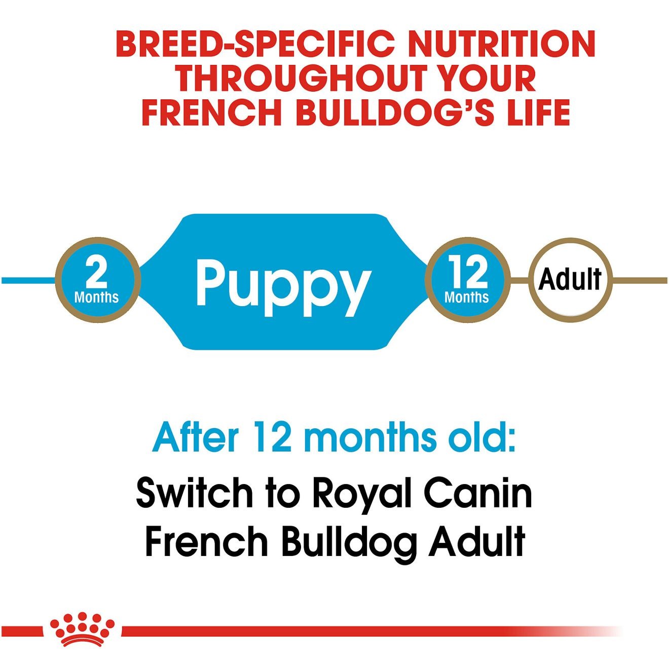 10.5lb Royal Canin French Bulldog Puppy Dry Dog Food UAE | 7943-LQSJZ