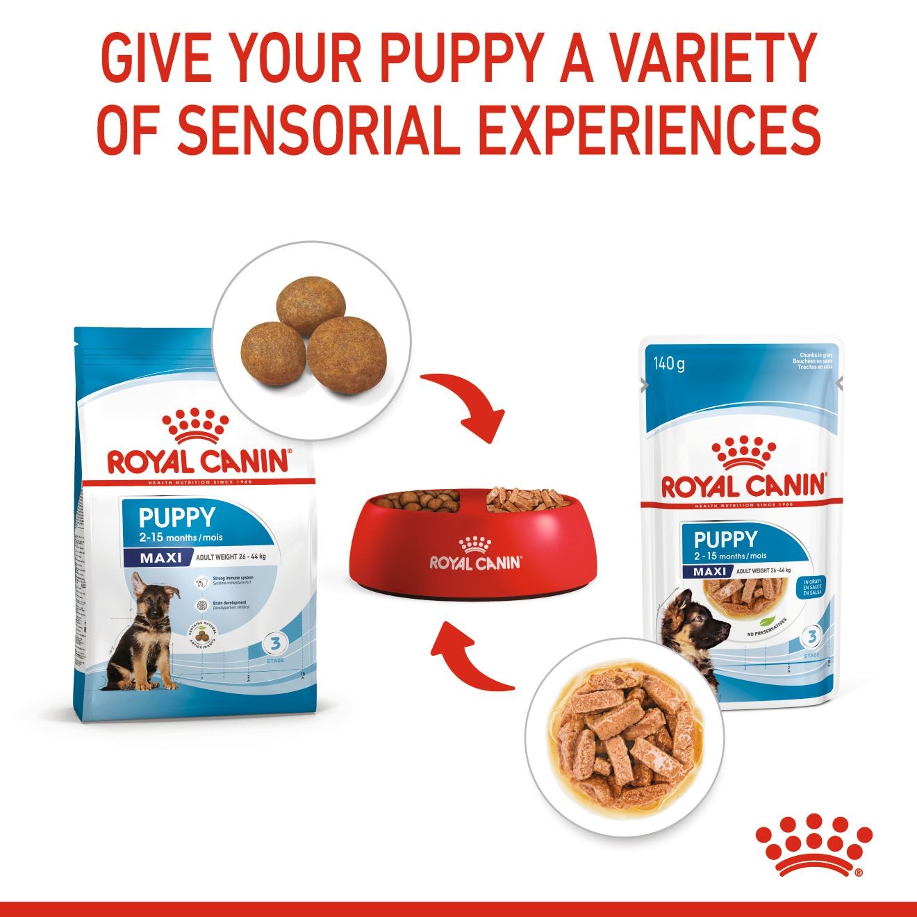 10 x 4.9oz Royal Canin Large Puppy Chunks in Gravy Pouch Wet Dog Food UAE | 1725-ZTCOQ