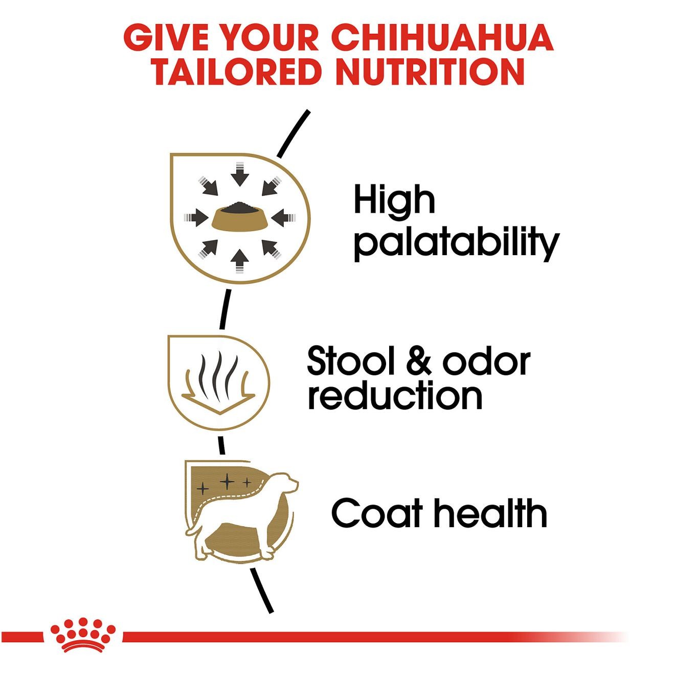 10lb Royal Canin Chihuahua Adult Dry Dog Food UAE | 5187-TRVQX