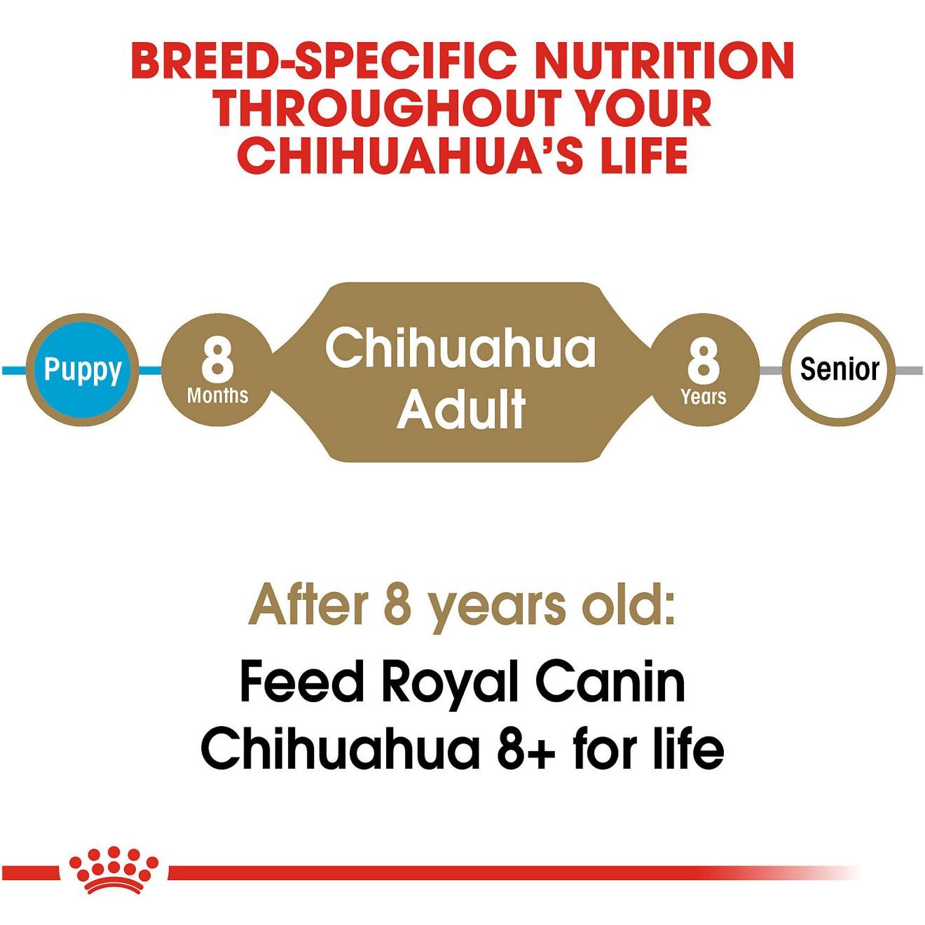 10lb Royal Canin Chihuahua Adult Dry Dog Food UAE | 5187-TRVQX