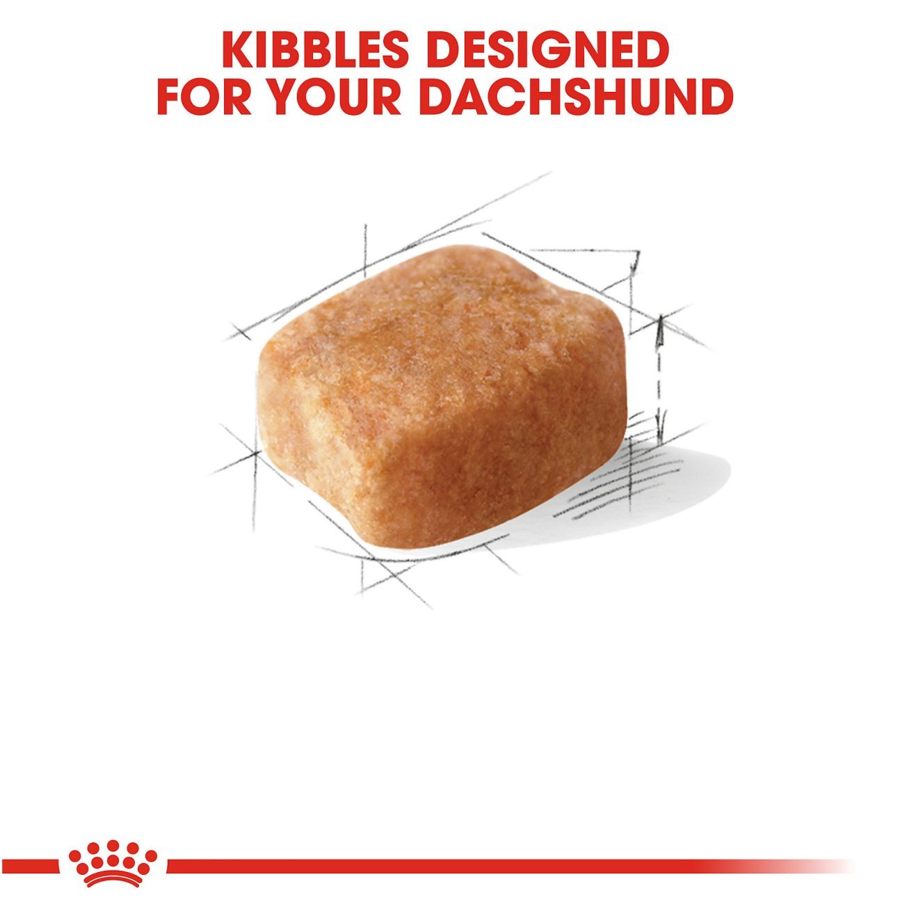 10lb Royal Canin Dachshund Adult Dry Dog Food UAE | 2013-GDQXO