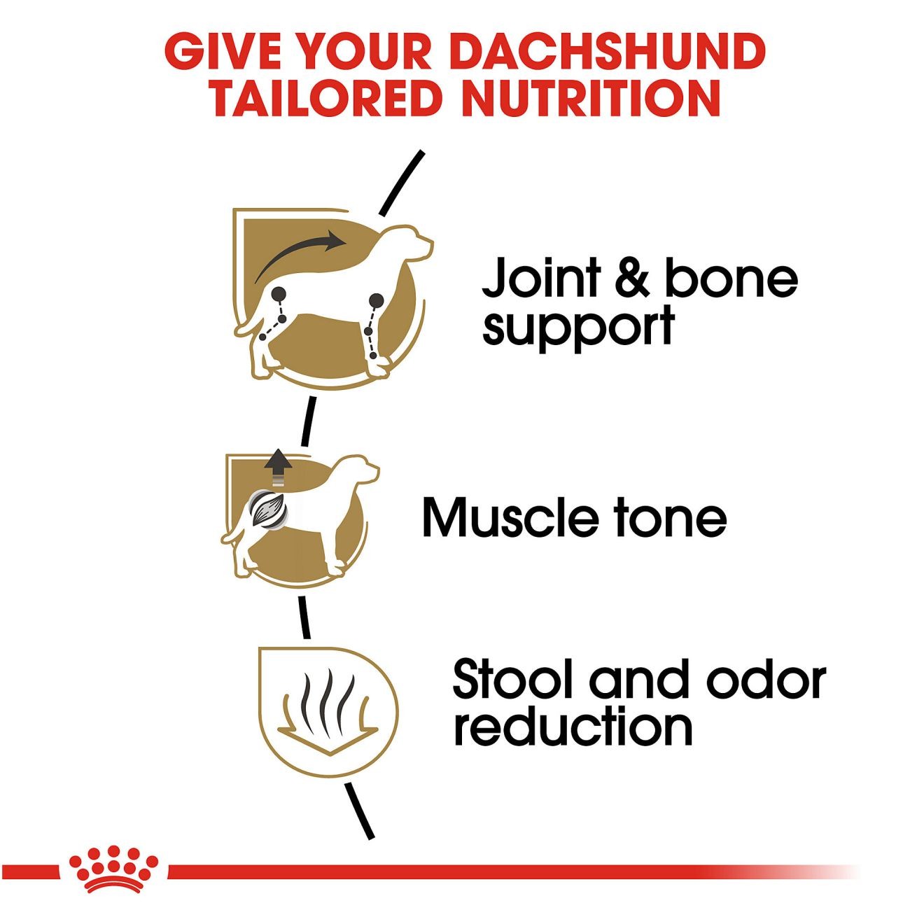 10lb Royal Canin Dachshund Adult Dry Dog Food UAE | 2013-GDQXO