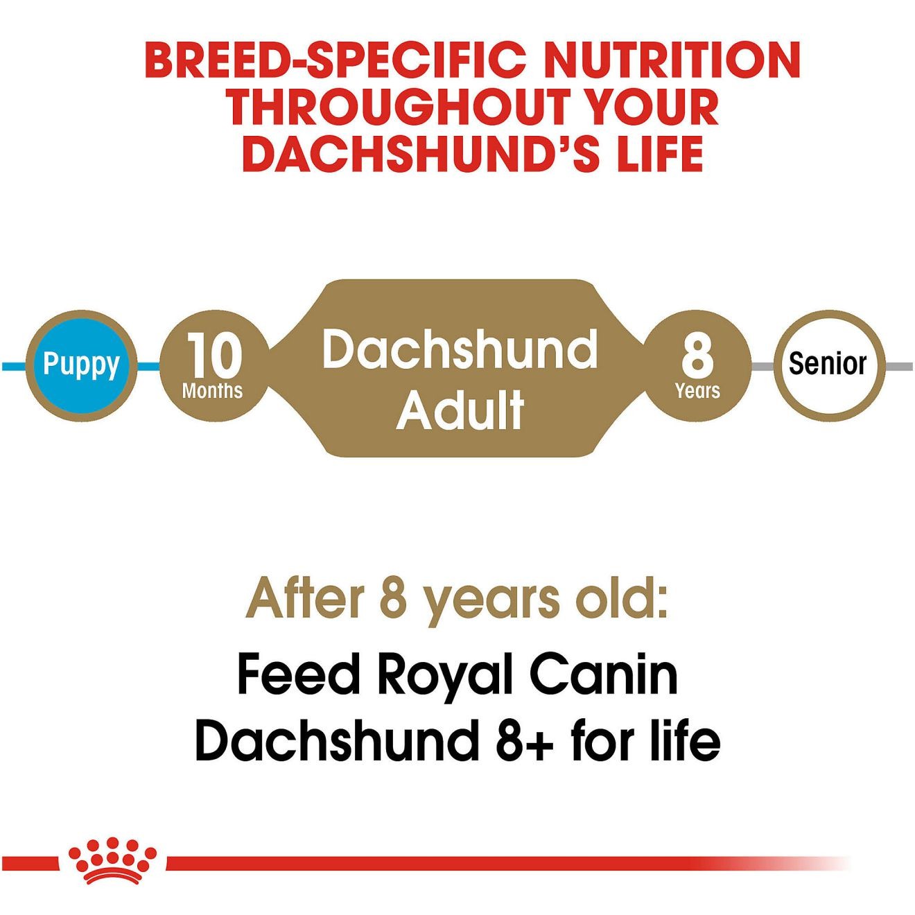 10lb Royal Canin Dachshund Adult Dry Dog Food UAE | 2013-GDQXO