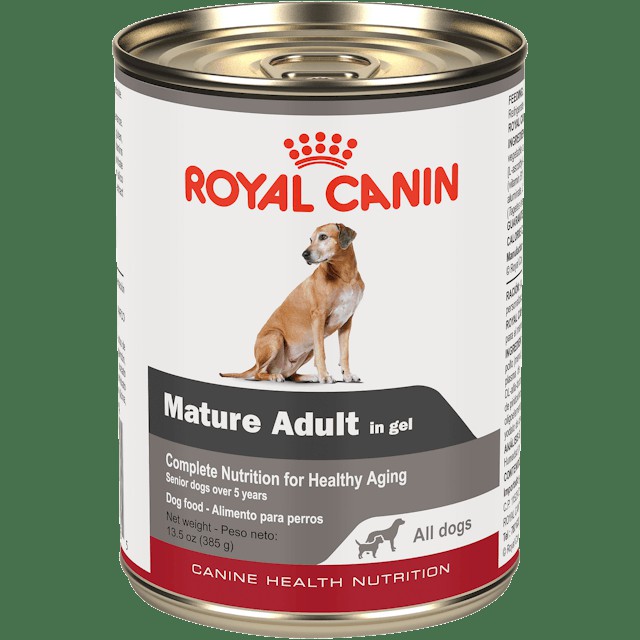 12 x 13.5oz Royal Canin Mature Adult in Gel Canned Wet Dog Food UAE | 5634-NFGPM
