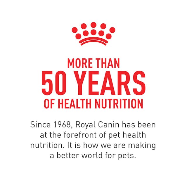 12 x 3oz Royal Canin Digestive Care Chunks In Gravy Pouch Wet Cat Food UAE | 4327-EYRXB