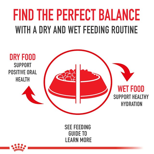 12 x 3oz Royal Canin Digestive Care Chunks In Gravy Pouch Wet Cat Food UAE | 4327-EYRXB