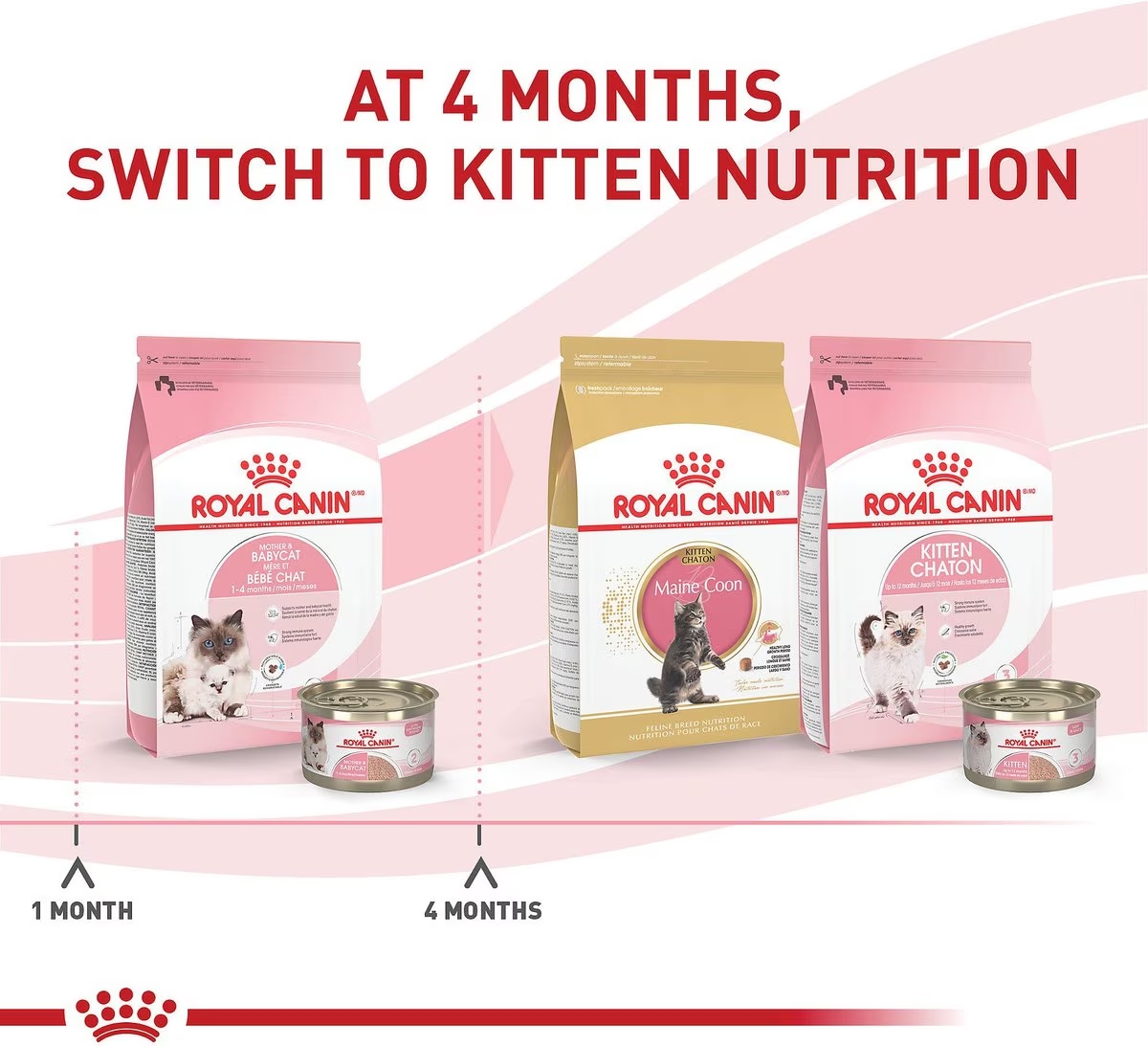 12 x 3oz Royal Canin Mother & Babycat Ultra Soft Mousse in Sauce Canned Wet Cat Food UAE | 9814-ZVWLC