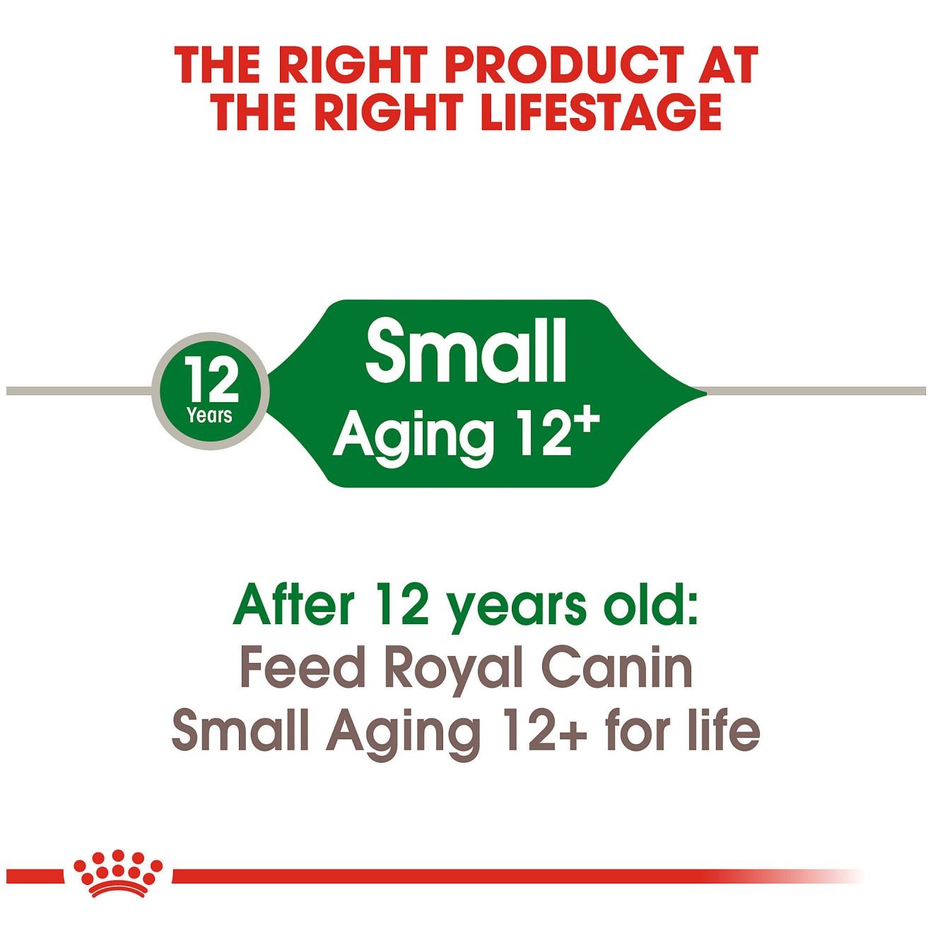 12lb Royal Canin Small Aging 12+ Dry Dog Food UAE | 5180-NZDHV