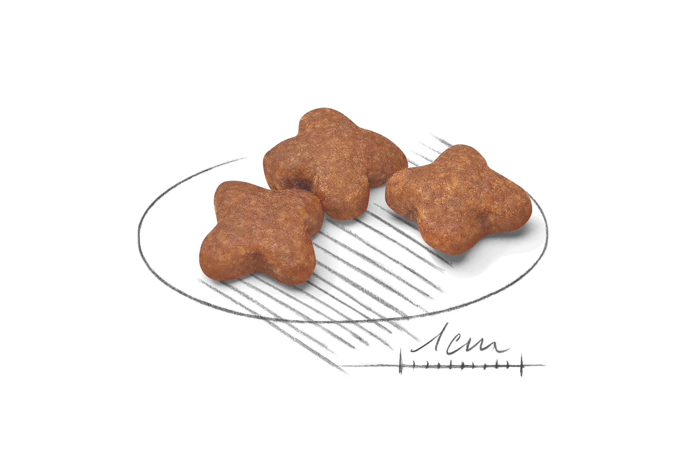 13lb Royal Canin Small Adult 8+ Dry Dog Food UAE | 1497-PXKYE