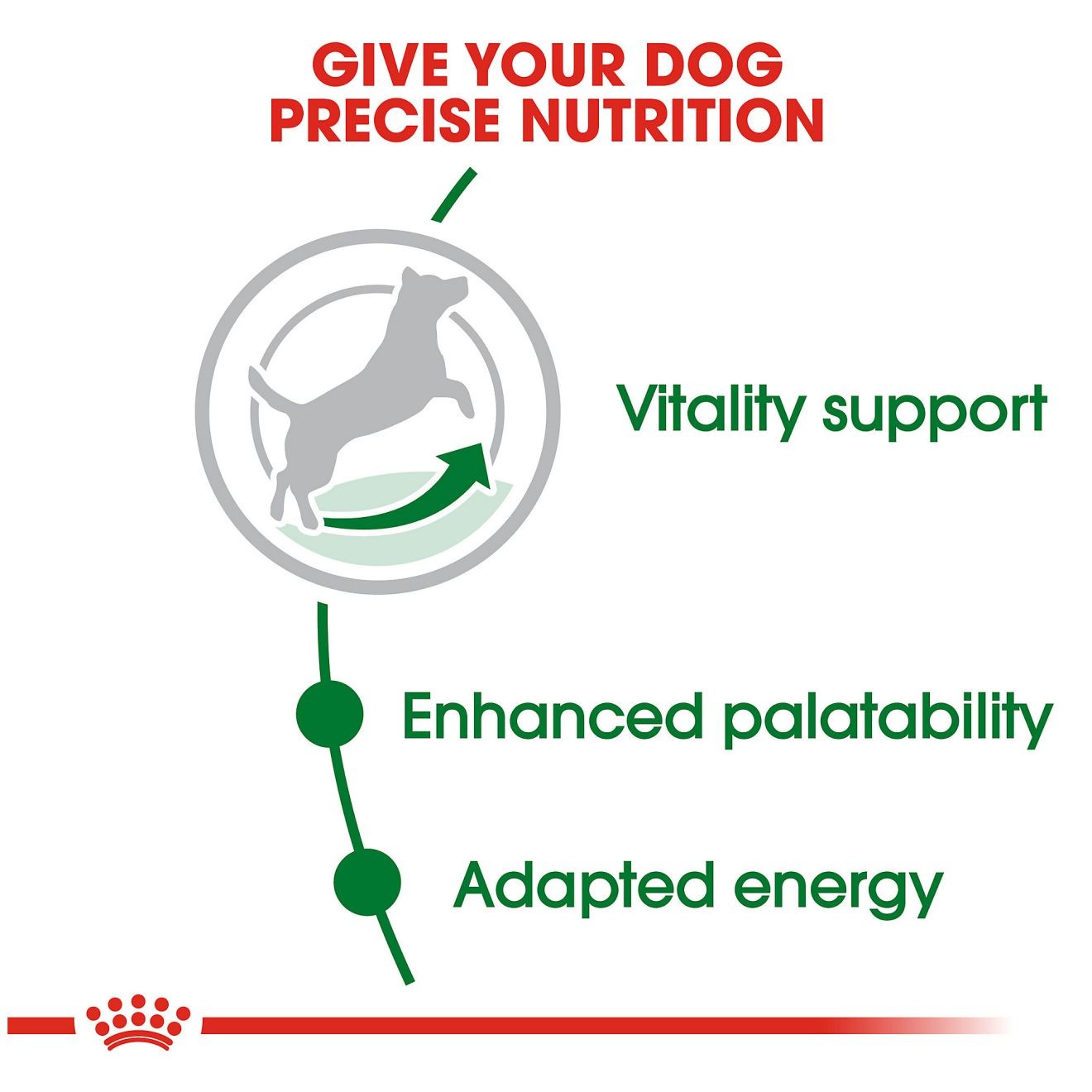 13lb Royal Canin Small Adult 8+ Dry Dog Food UAE | 1497-PXKYE