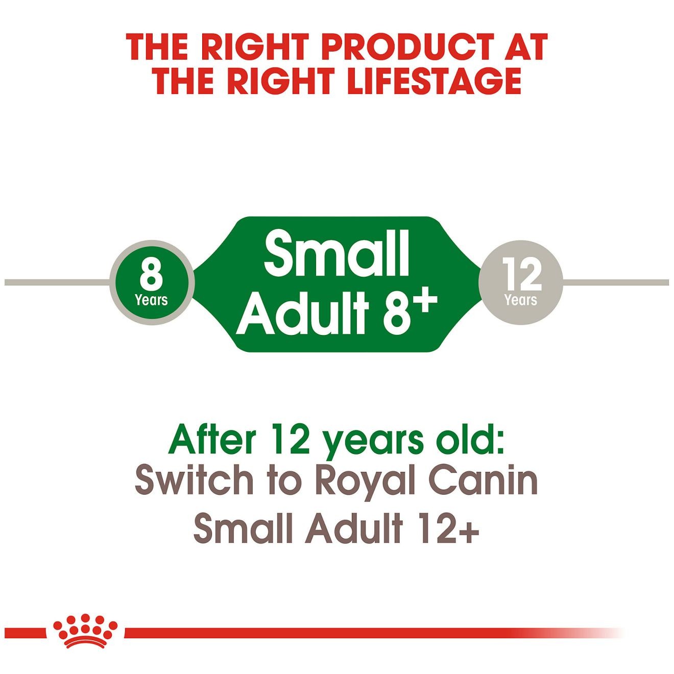 13lb Royal Canin Small Adult 8+ Dry Dog Food UAE | 1497-PXKYE