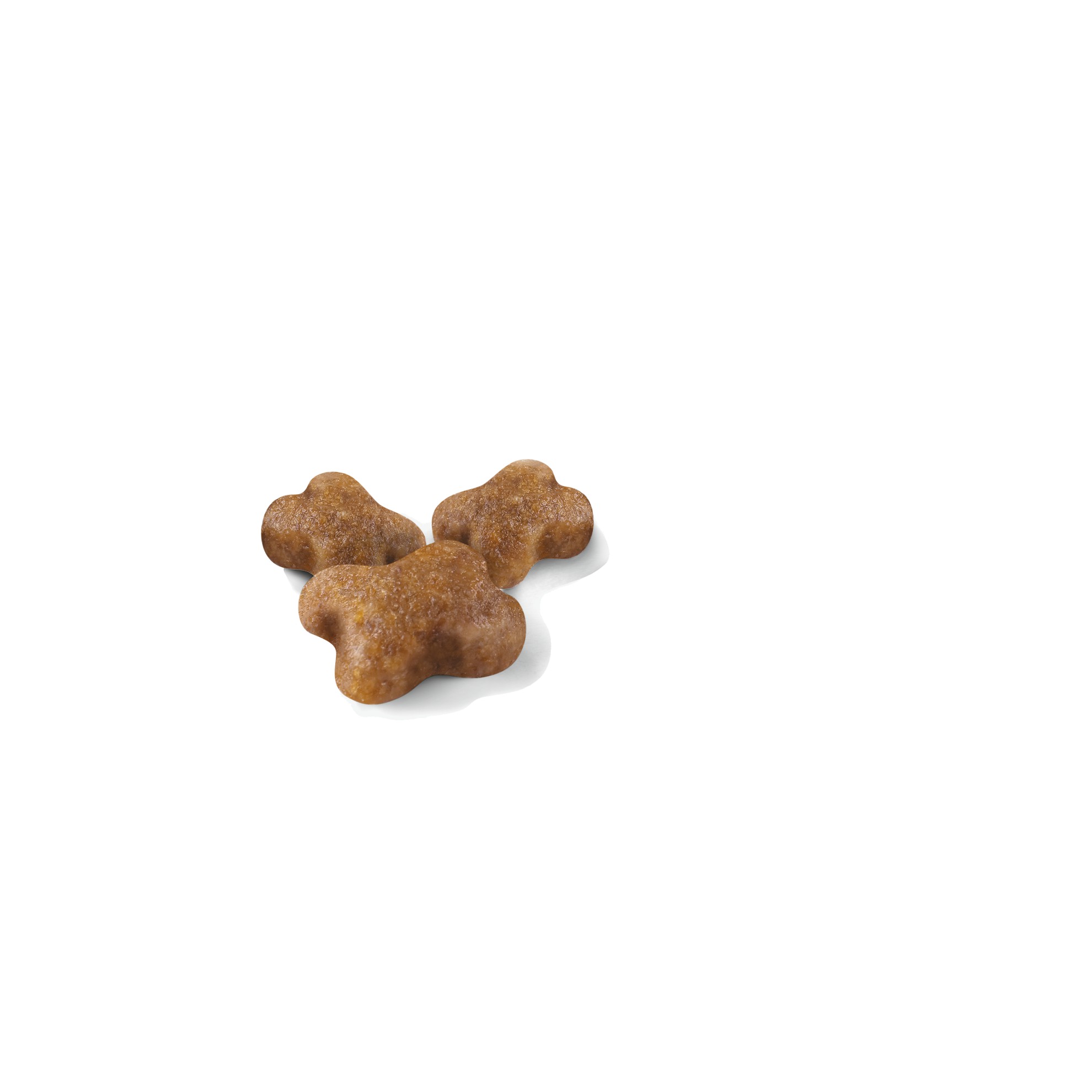 14lb Royal Canin Kitten Dry Cat Food UAE | 1628-NVKDI