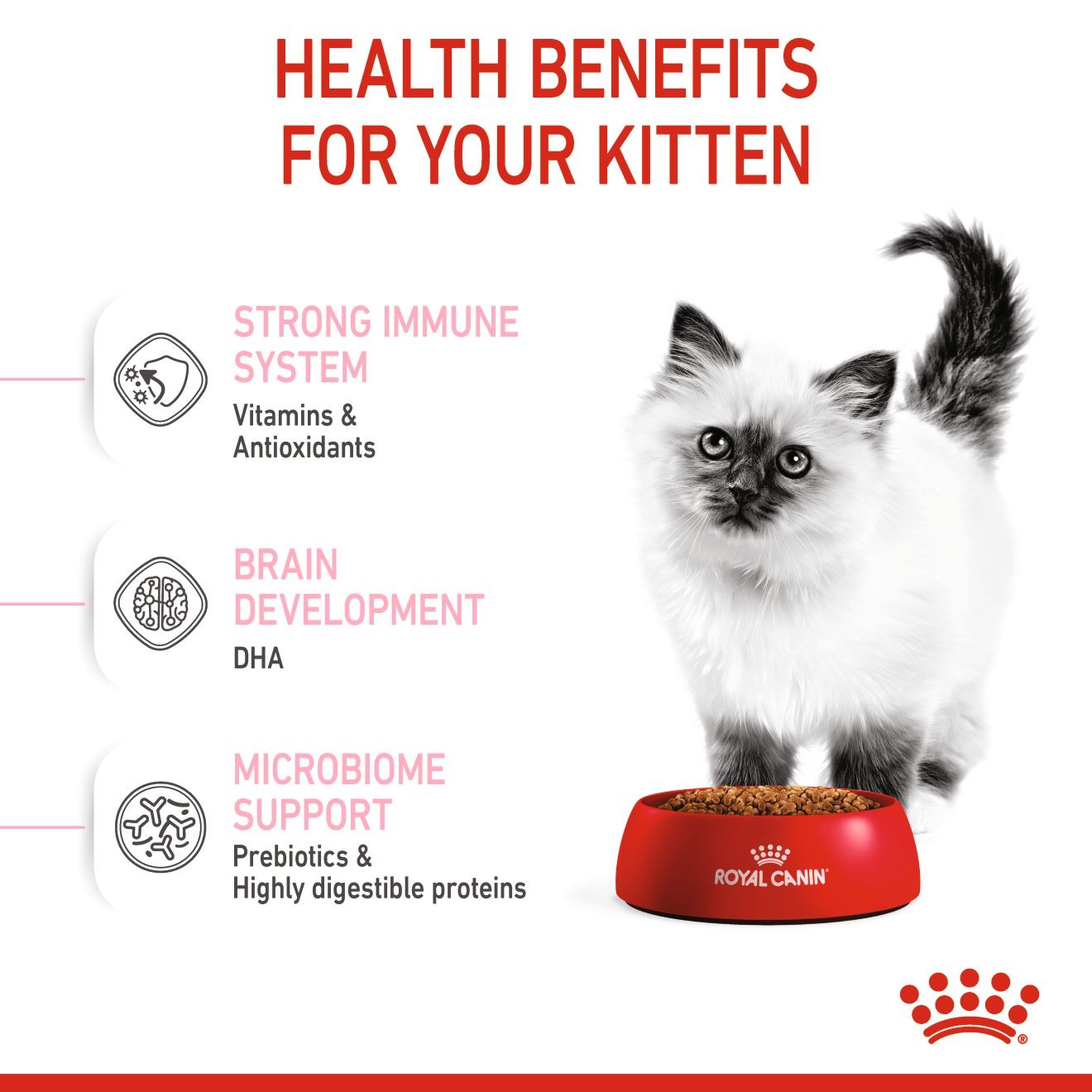 14lb Royal Canin Kitten Dry Cat Food UAE | 1628-NVKDI