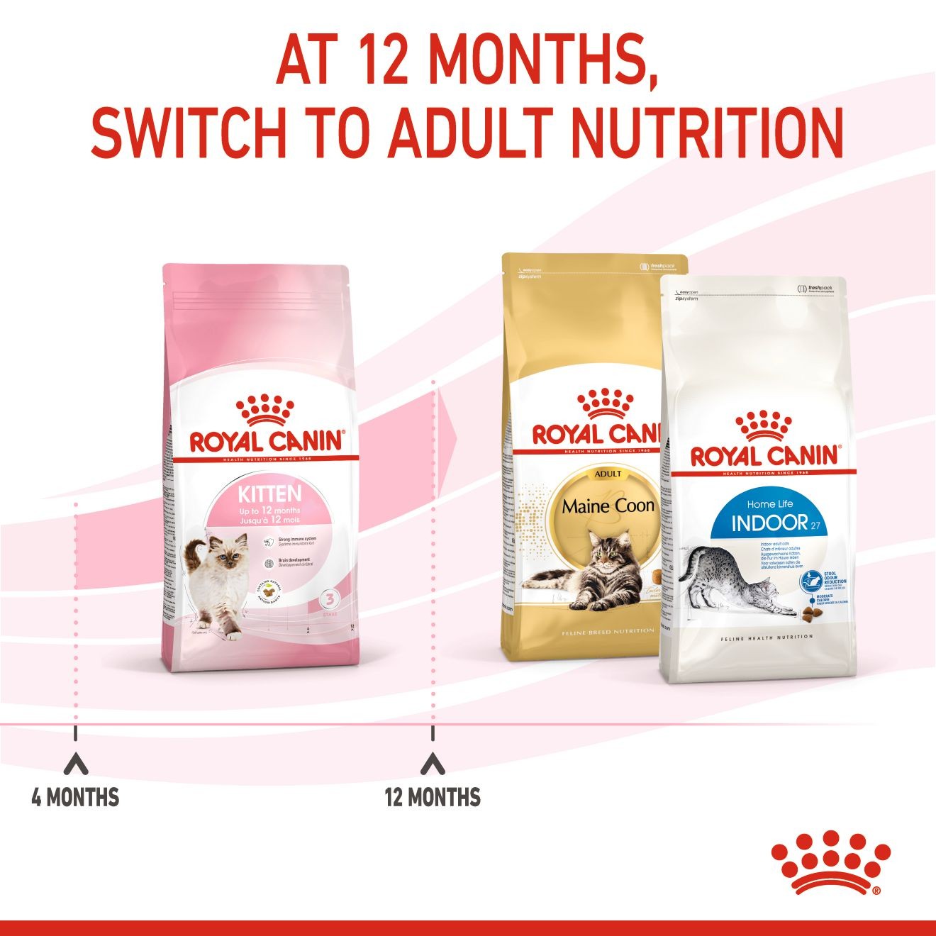14lb Royal Canin Kitten Dry Cat Food UAE | 1628-NVKDI