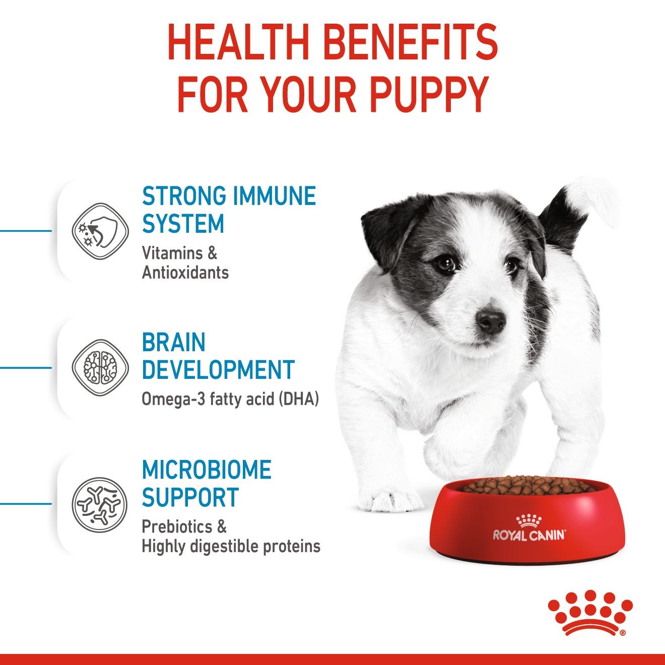 14lb Royal Canin Small Puppy Dry Dog Food UAE | 1947-HBDLO