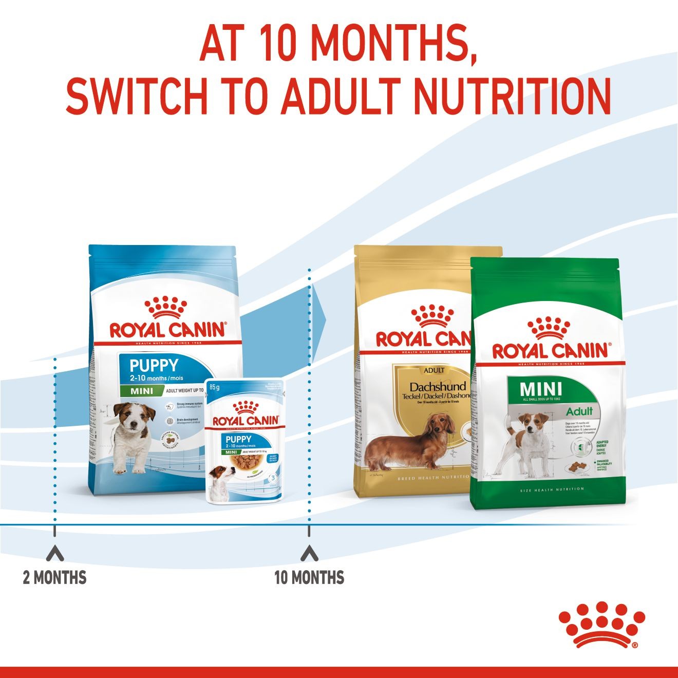 14lb Royal Canin Small Puppy Dry Dog Food UAE | 1947-HBDLO