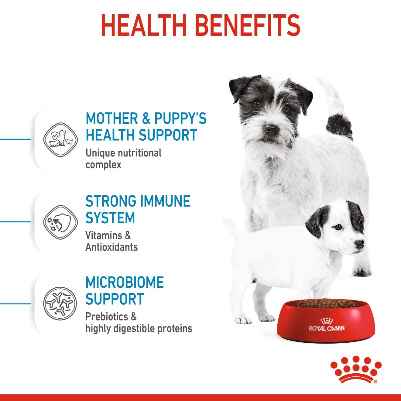 14lb Royal Canin Small Starter Mother & Babydog Dry Dog Food UAE | 5743-TBNXI