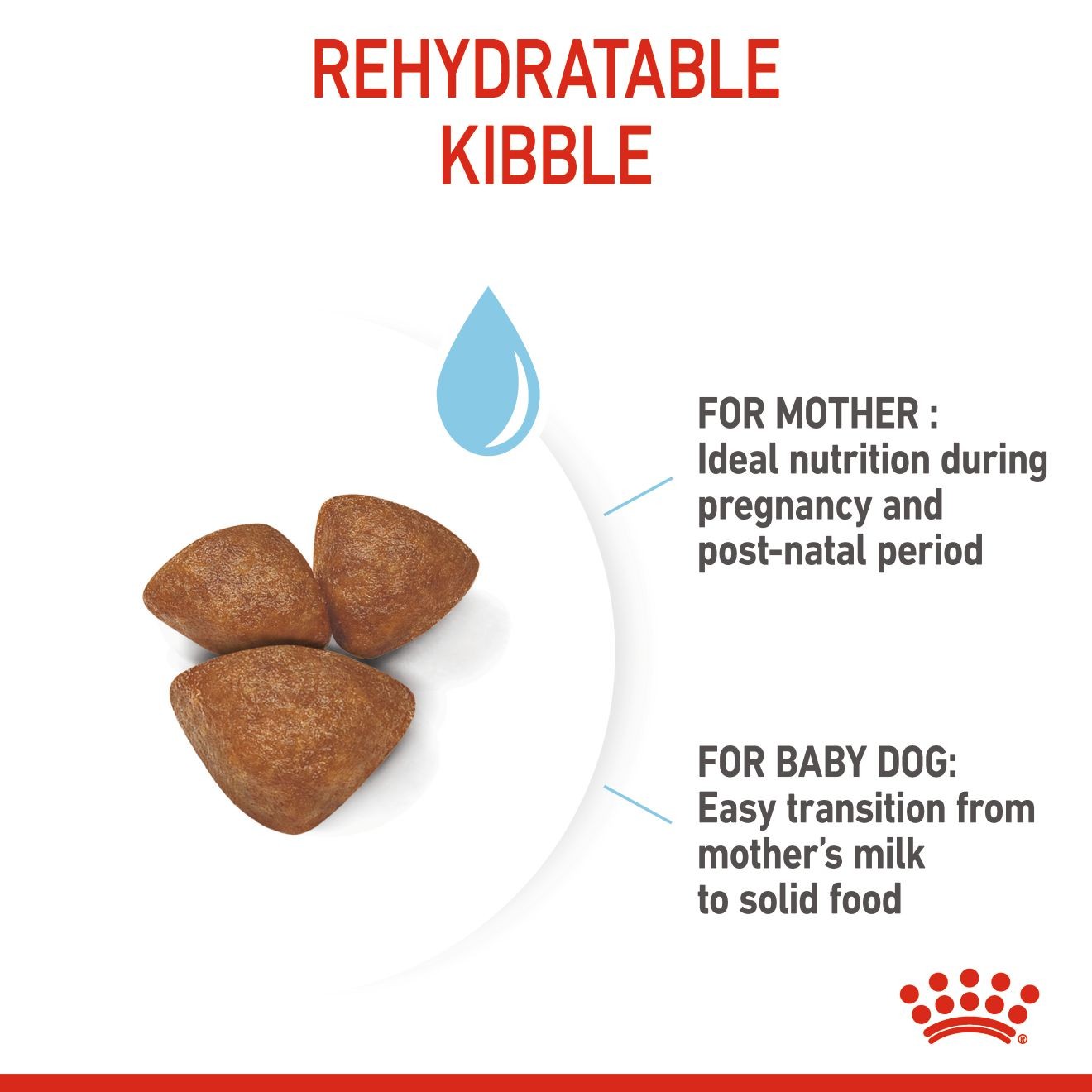 14lb Royal Canin Small Starter Mother & Babydog Dry Dog Food UAE | 5743-TBNXI