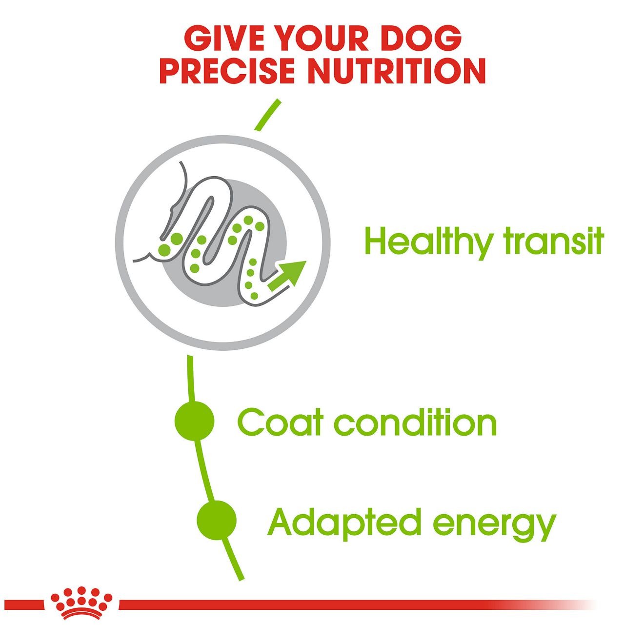 14lb Royal Canin X-Small Adult Dry Dog Food UAE | 4615-LUJED