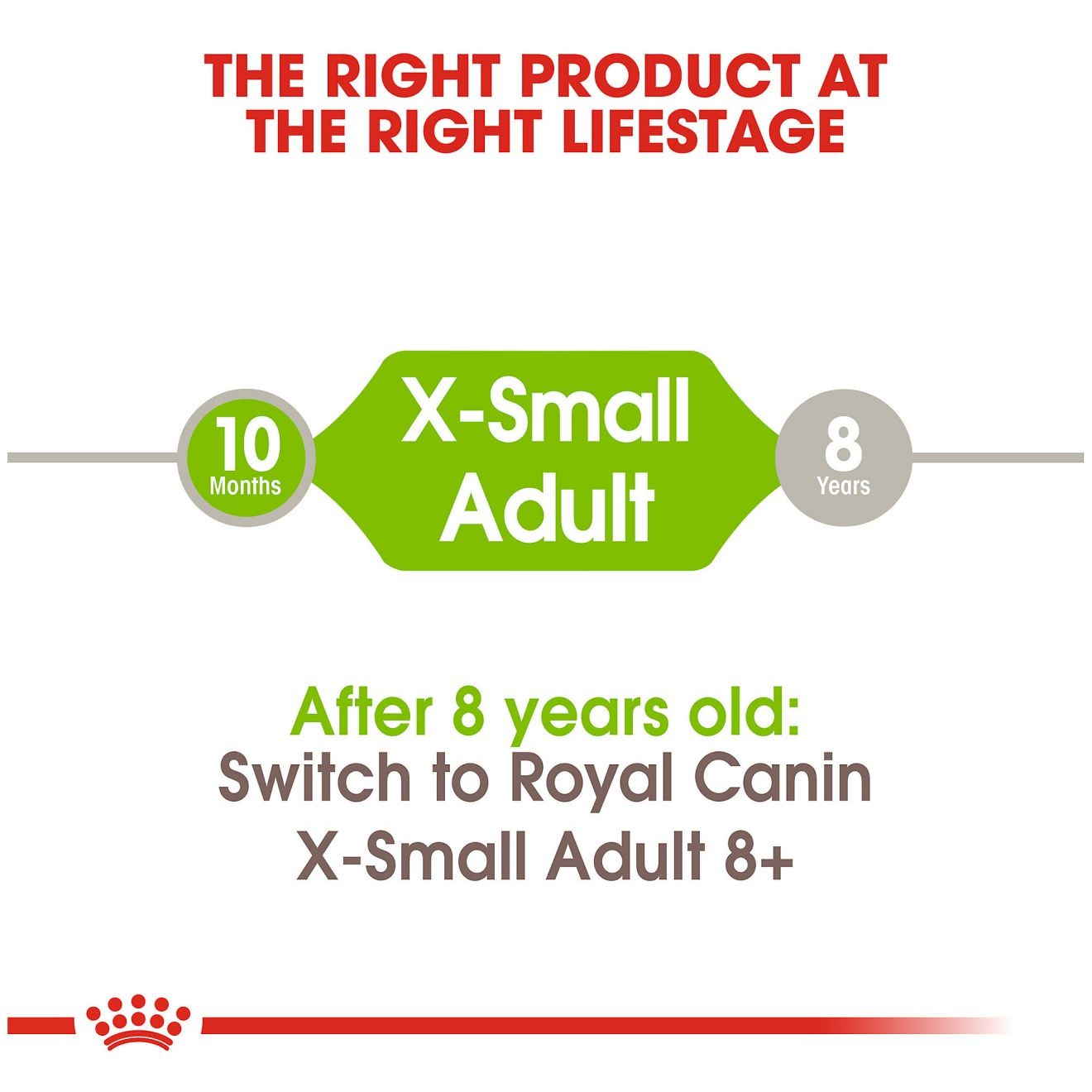 14lb Royal Canin X-Small Adult Dry Dog Food UAE | 4615-LUJED