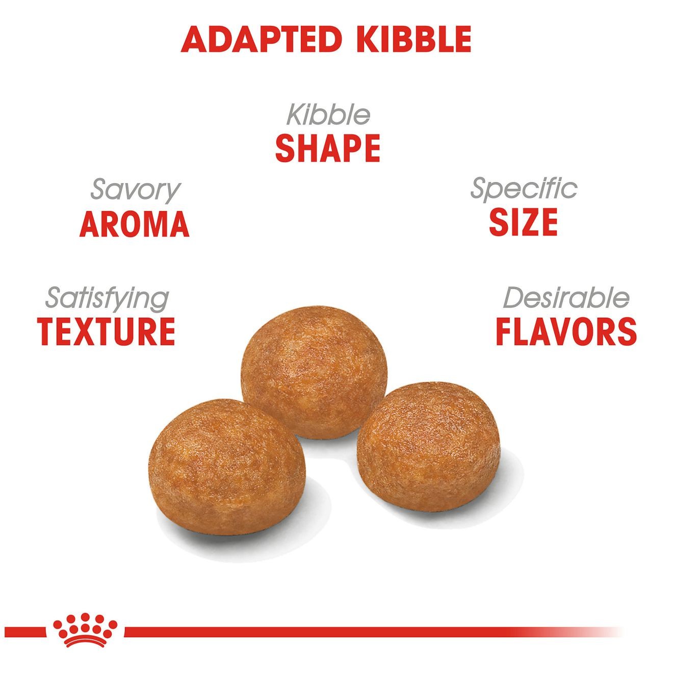 14lb Royal Canin X-Small Adult Dry Dog Food UAE | 4615-LUJED