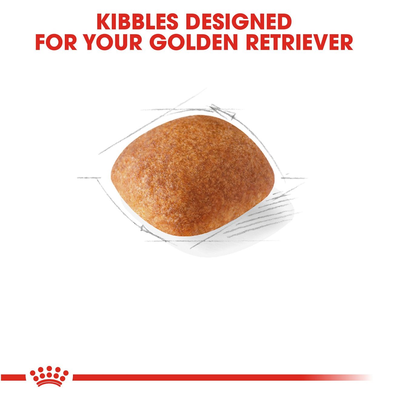 17lb Royal Canin Golden Retriever Adult Dry Dog Food UAE | 4139-MLFXN