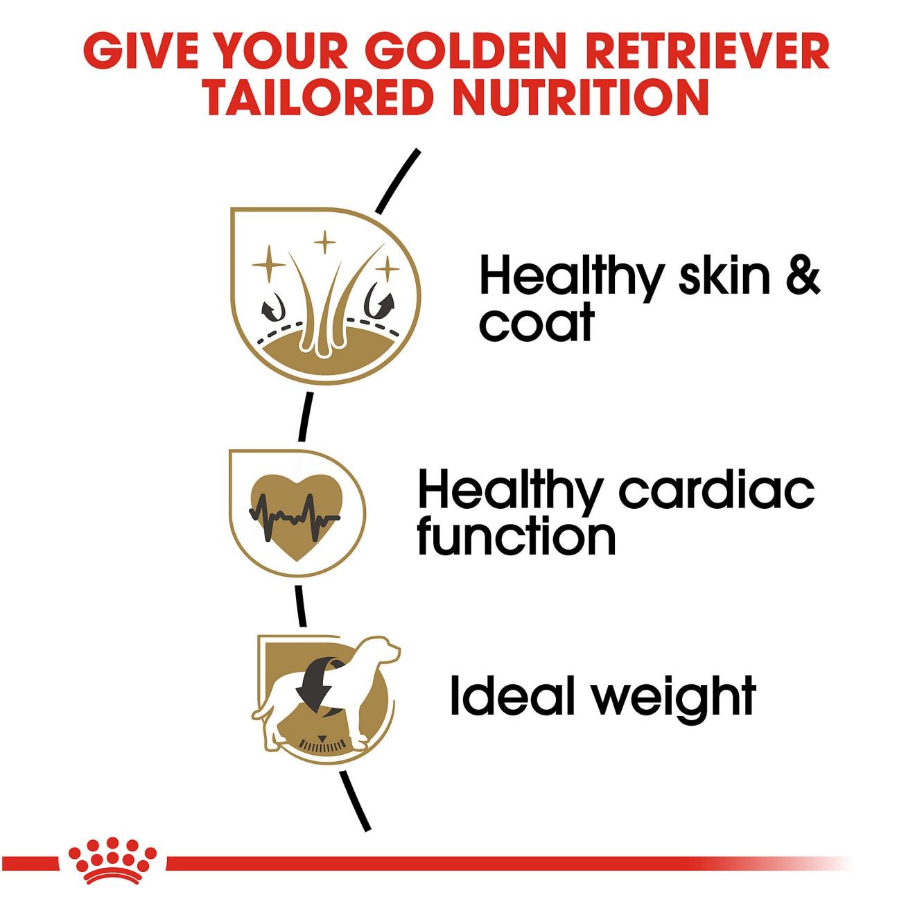 17lb Royal Canin Golden Retriever Adult Dry Dog Food UAE | 4139-MLFXN