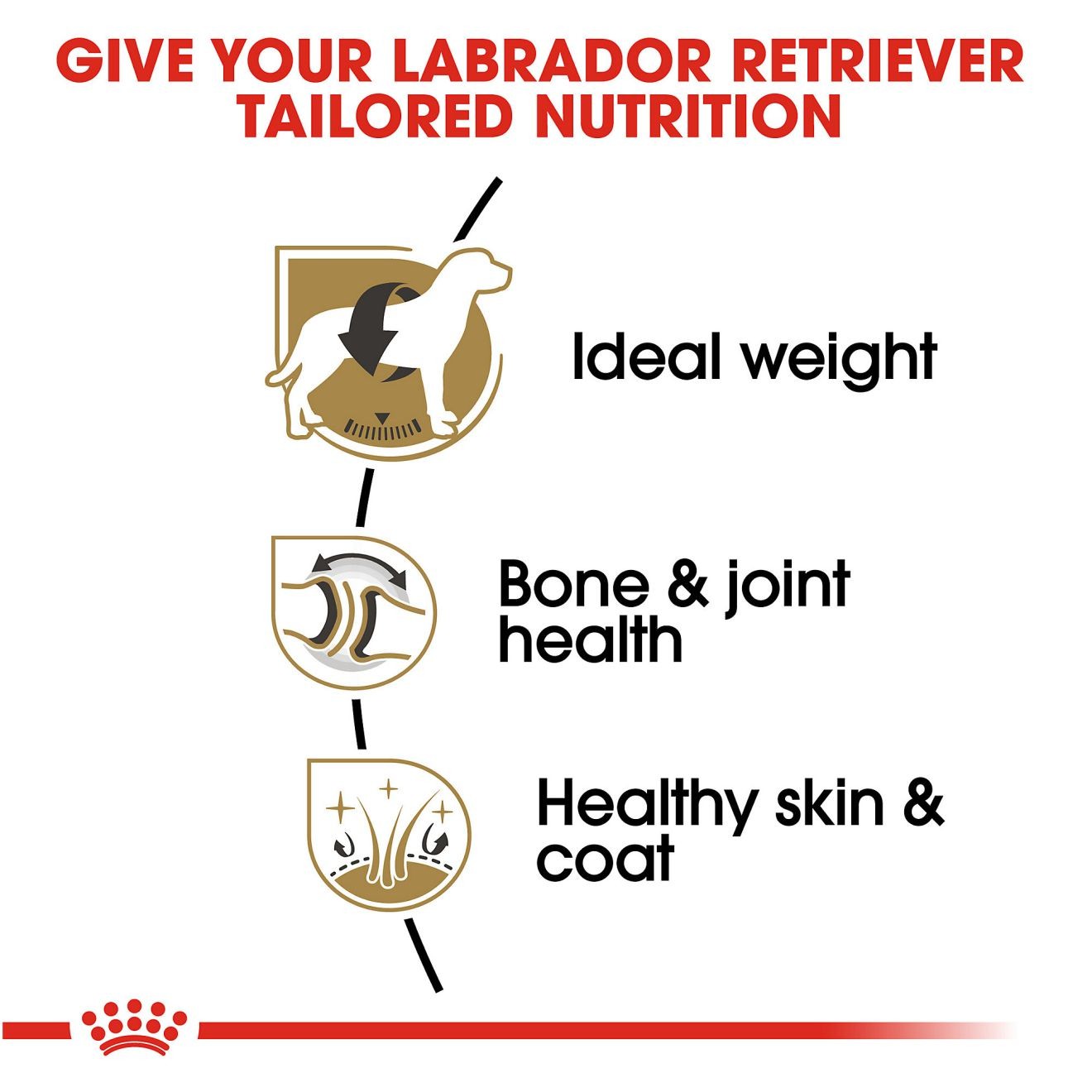 17lb Royal Canin Labrador Retriever Adult Dry Dog Food UAE | 4596-USVZP