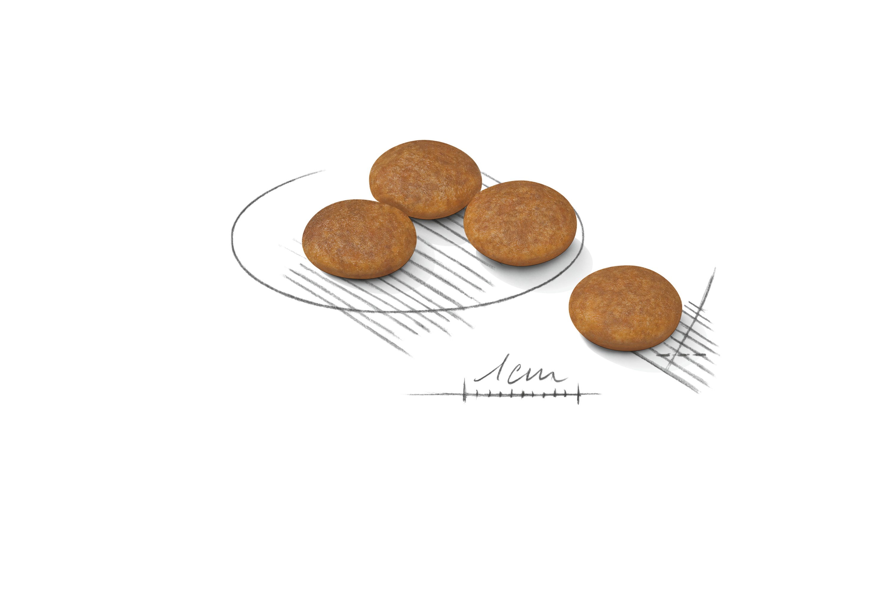 2.2lb Royal Canin X-Small Weight Care Dry Dog Food UAE | 8372-XYPIS