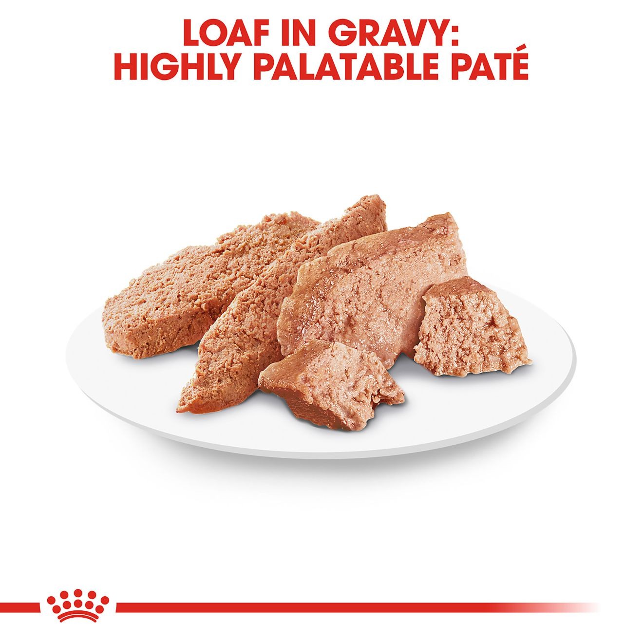 24 x 3oz Royal Canin Dachshund Adult Loaf in Sauce Canned Wet Dog Food UAE | 1462-QGTOM