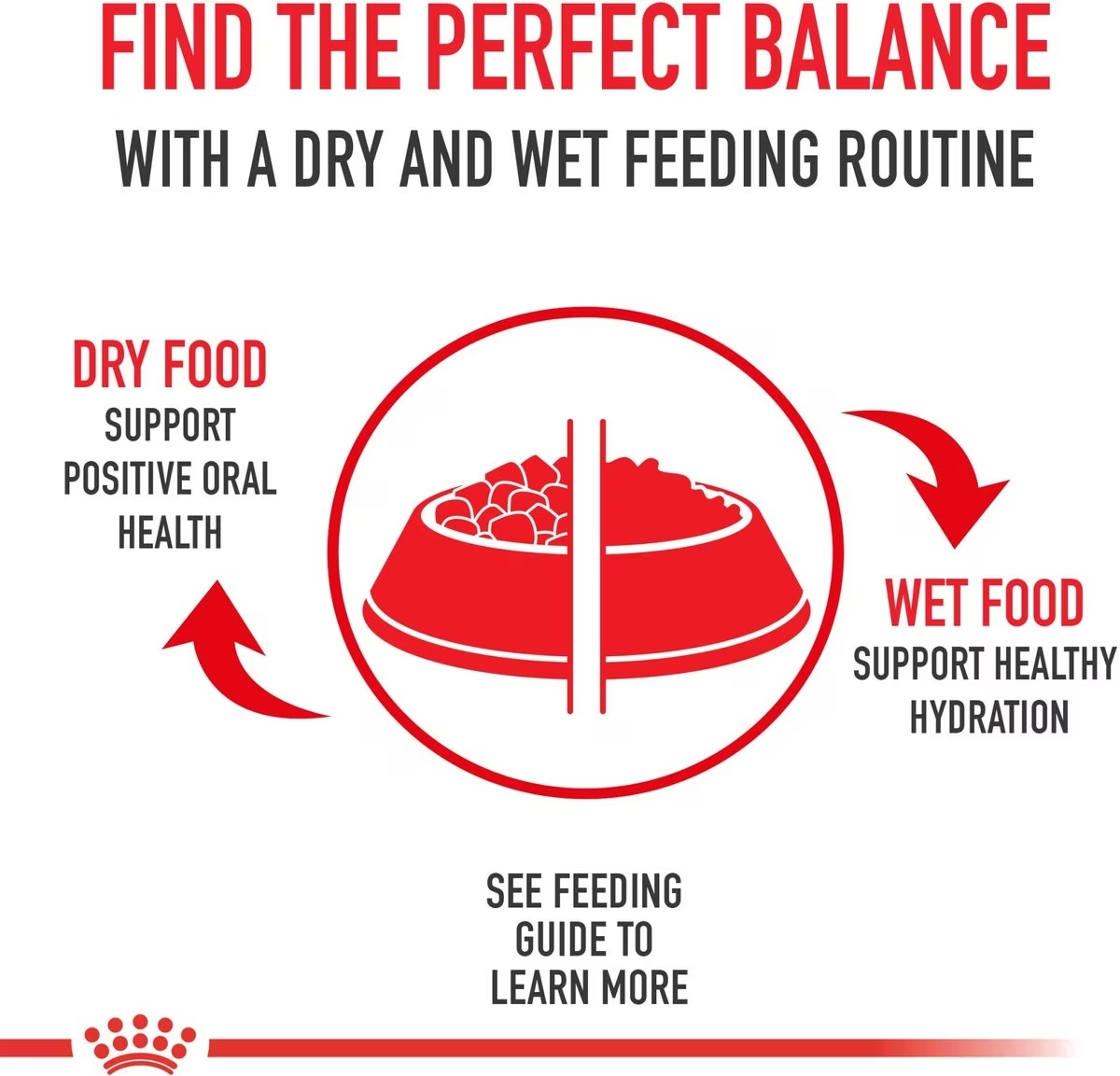 24 x 3oz Royal Canin Digestive Care Loaf In Sauce Wet Cat Food UAE | 3867-EDKMA