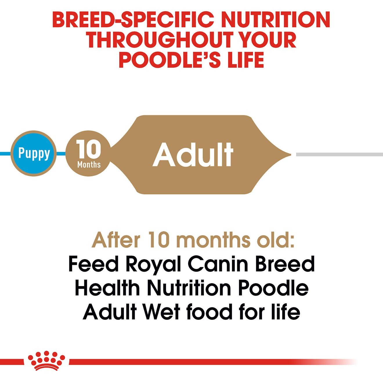 24 x 3oz Royal Canin Poodle Adult Loaf in Sauce Canned Wet Dog Food UAE | 3015-KGRYB