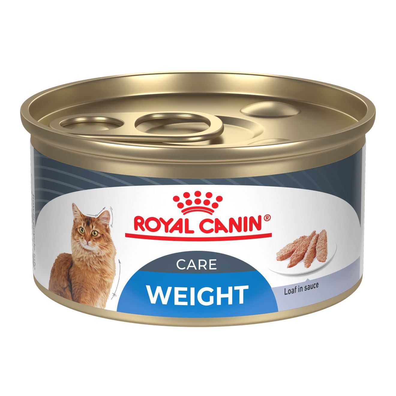 24 x 3oz Royal Canin Weight Care Loaf in Sauce Wet Cat Food UAE | 1543-AEOVT