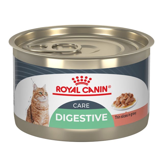 24 x 5.1oz Royal Canin Digestive Care Thin Slices In Gravy Canned Wet Cat Food UAE | 8672-FXCMT