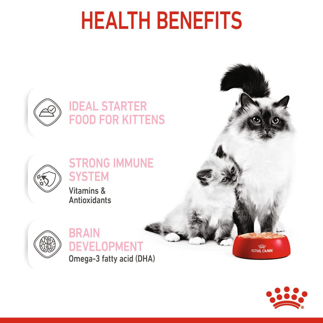 24 x 5.1oz Royal Canin Mother & Babycat Ultra Soft Mousse in Sauce Canned Wet Cat Food UAE | 1293-WNTRU